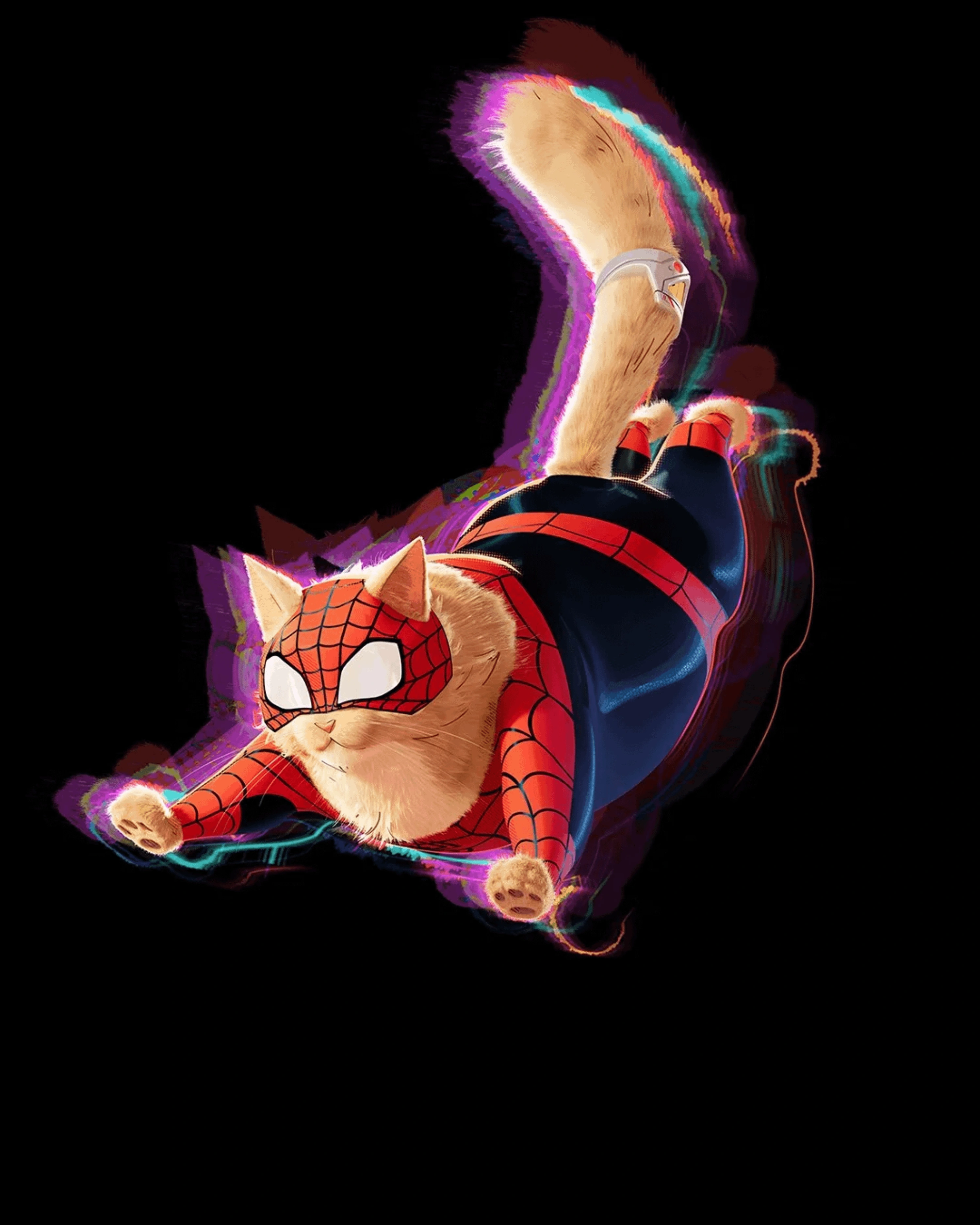 Spider-Cat