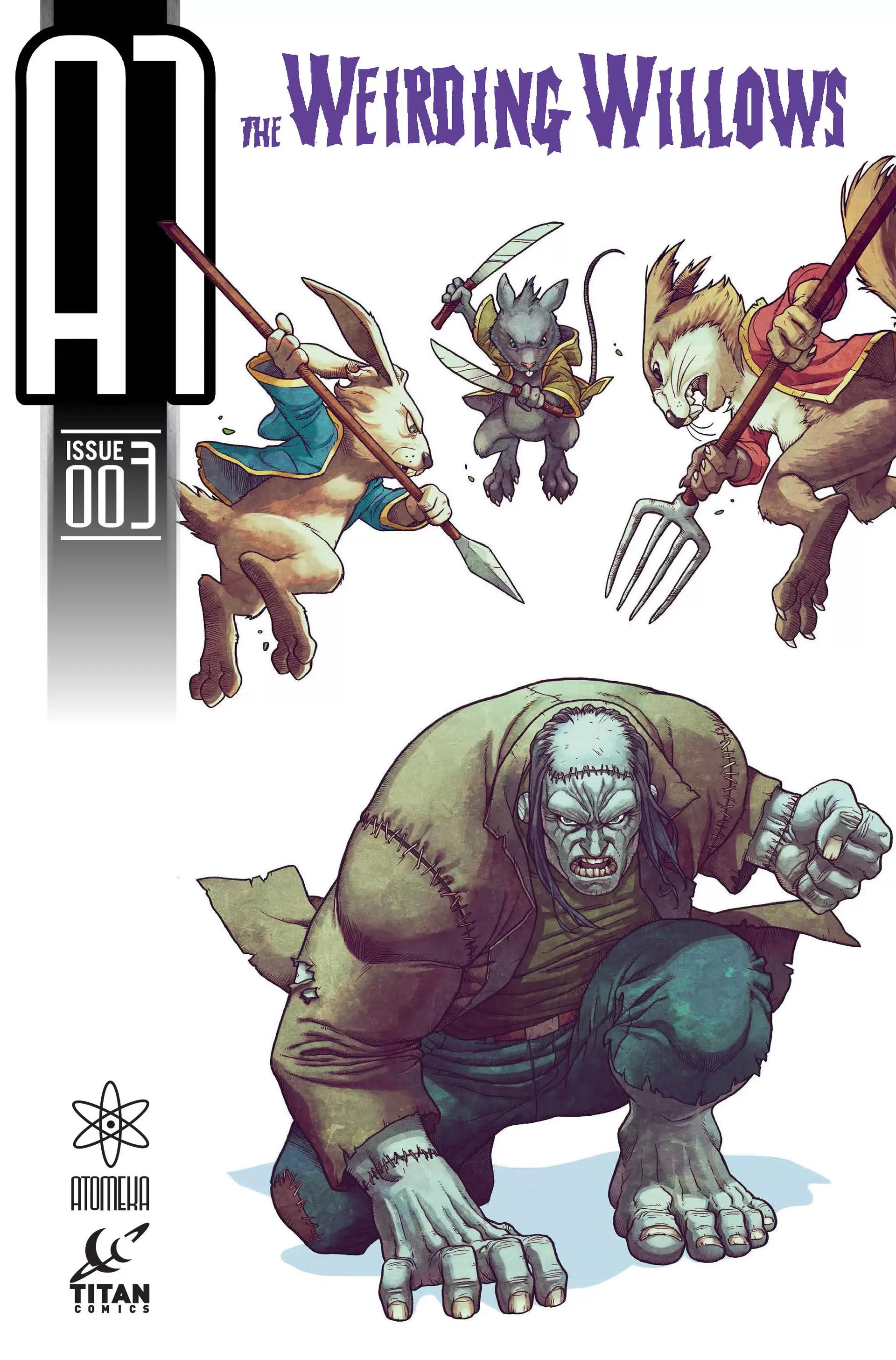 Willow #3 cover
