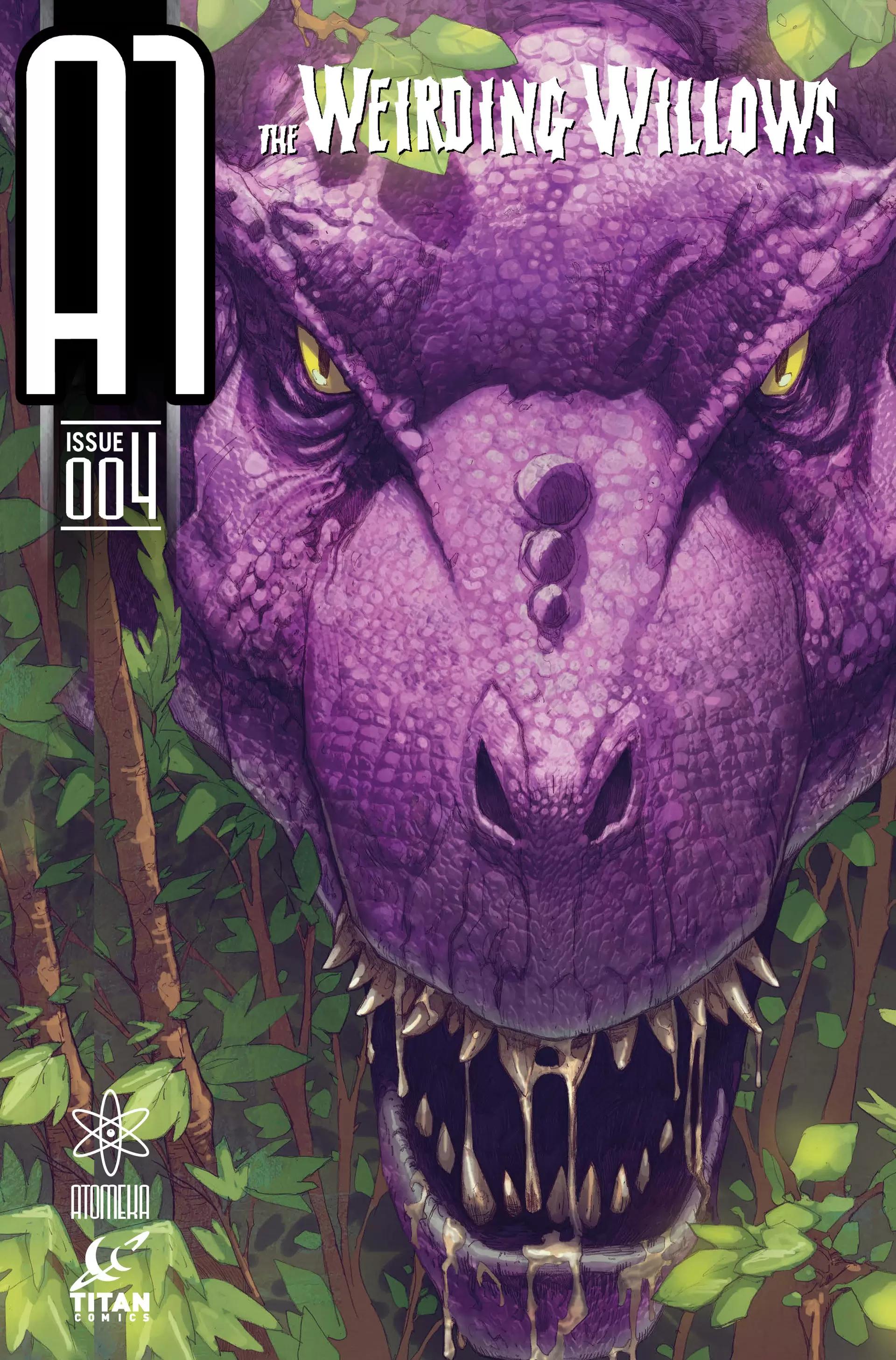 Willow #4 cover