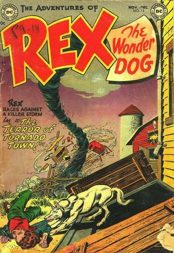 The Adventures of Rex the Wonder Dog #12 cover
