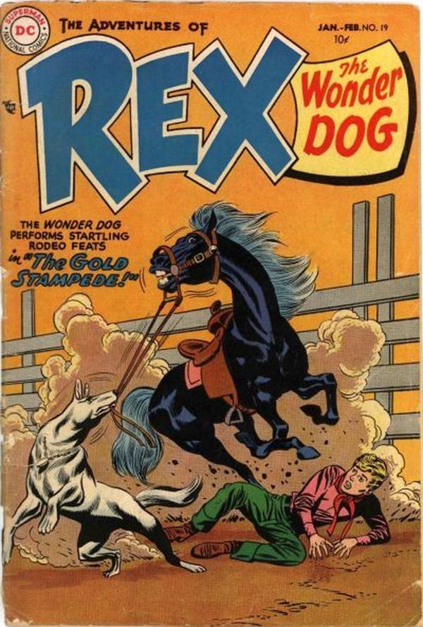 #19