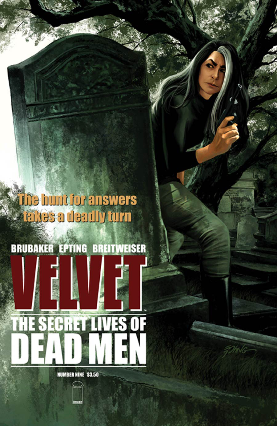 Velvet #9 cover