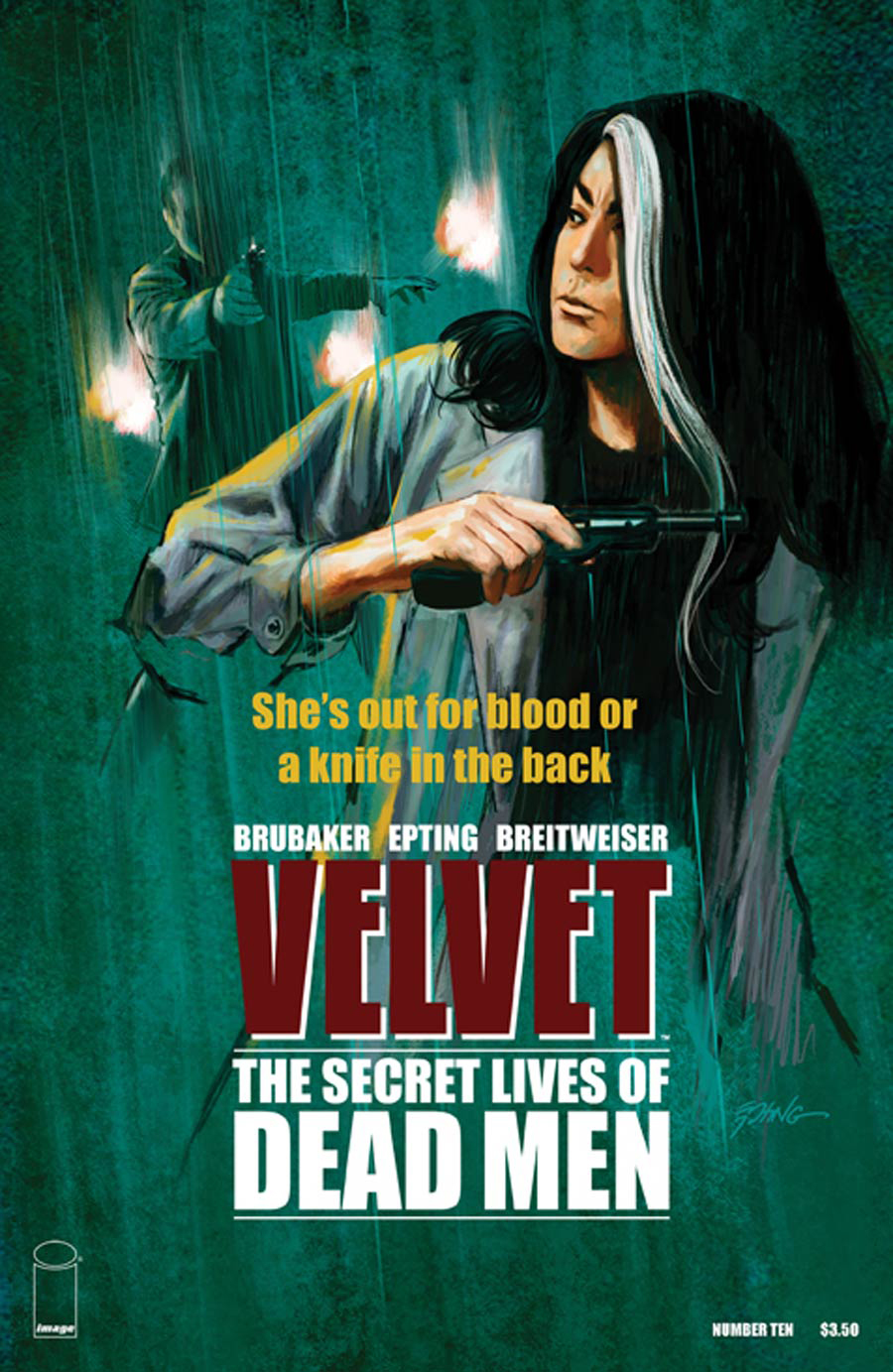 Velvet #10 cover