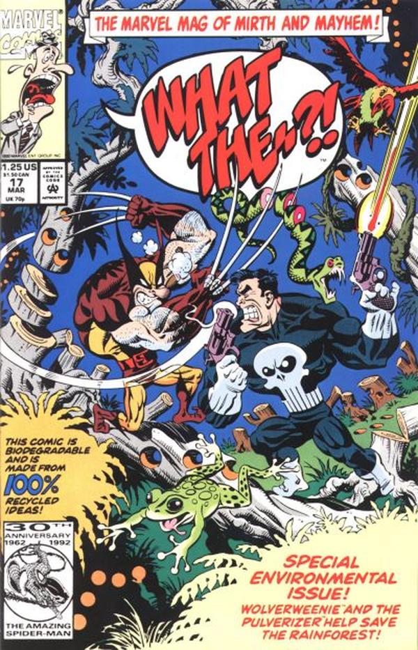 What The--?! #17 cover