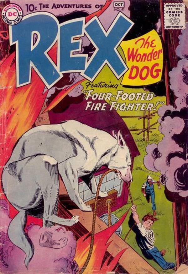 The Adventures of Rex the Wonder Dog #41 cover