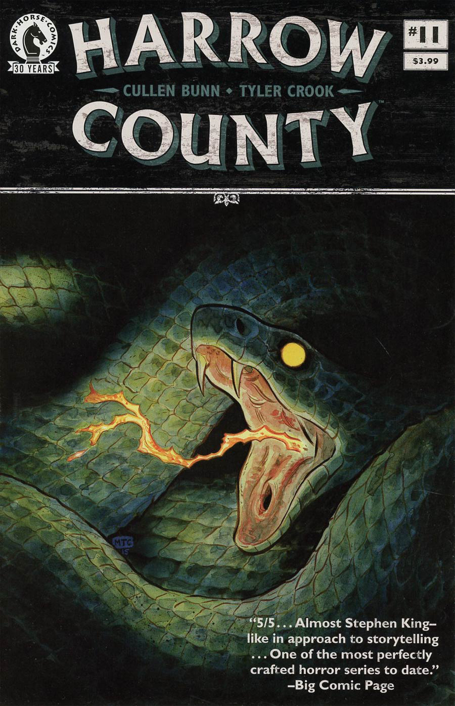 Harrow County #11 cover