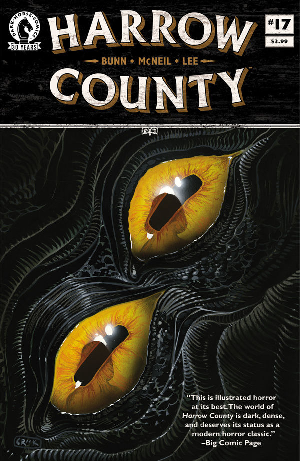 Harrow County #17 cover