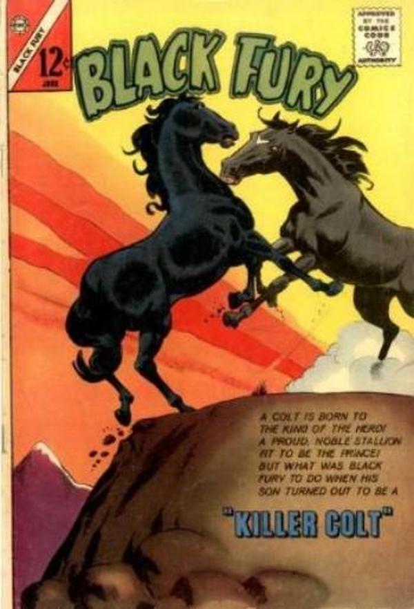Black Fury #42 cover