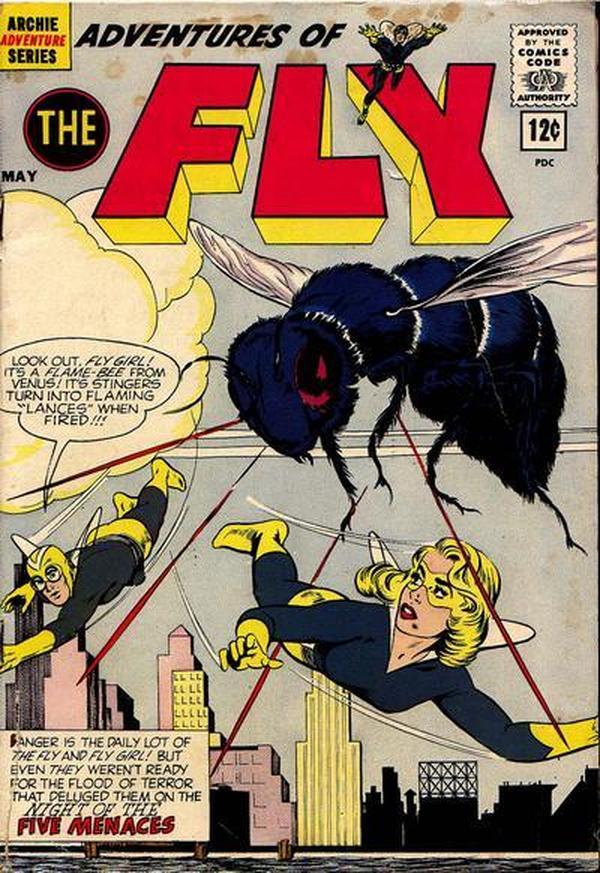 Adventures of the Fly #19 cover