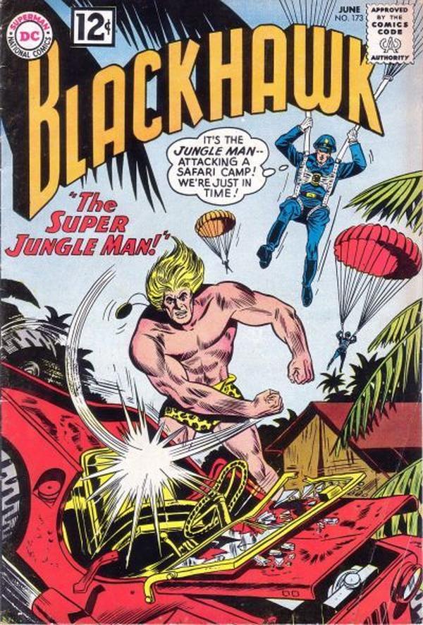 Blackhawk #173 cover