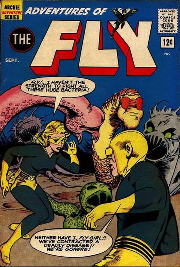 Adventures of the Fly #21 cover