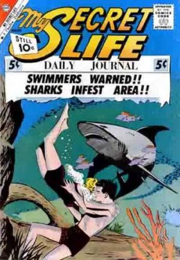 My Secret Life #41 cover