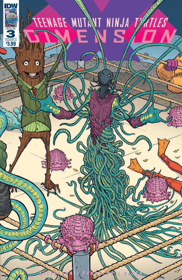 Teenage Mutant Ninja Turtles: Dimension X #3 cover