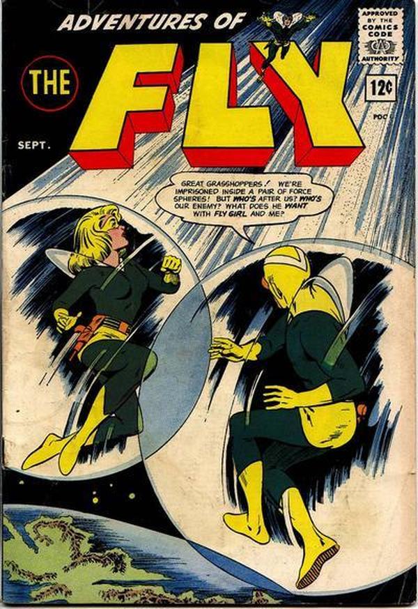 Adventures of the Fly #27 cover