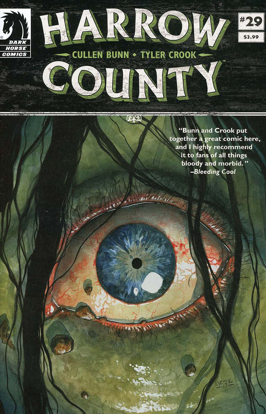Harrow County #29 cover
