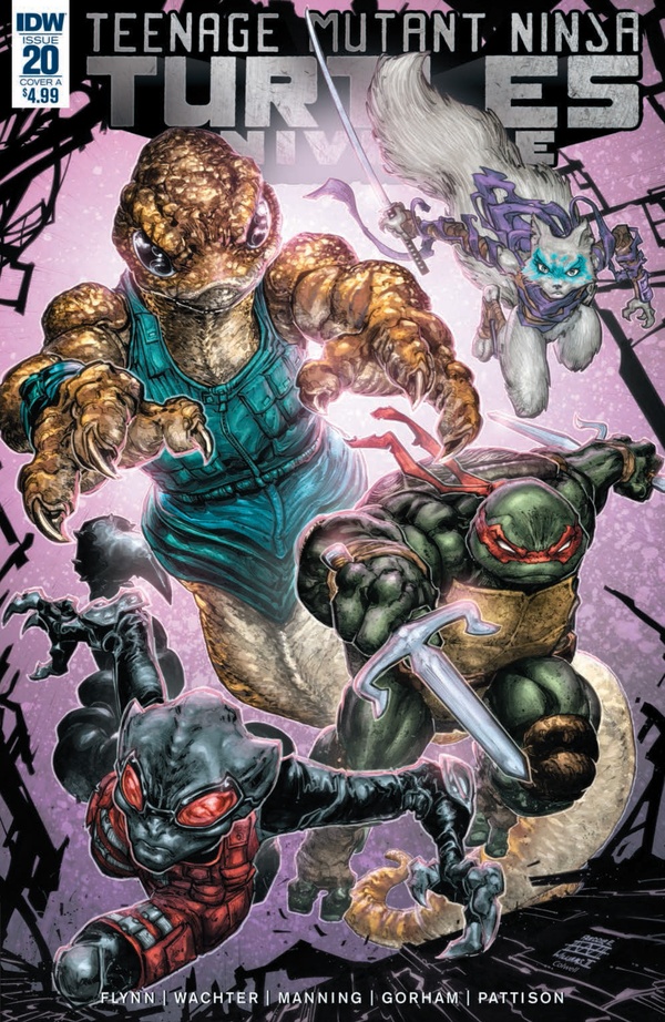 Teenage Mutant Ninja Turtles Universe #20 cover