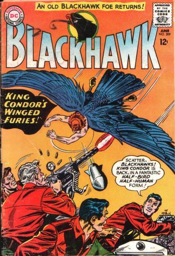 Blackhawk #209 cover