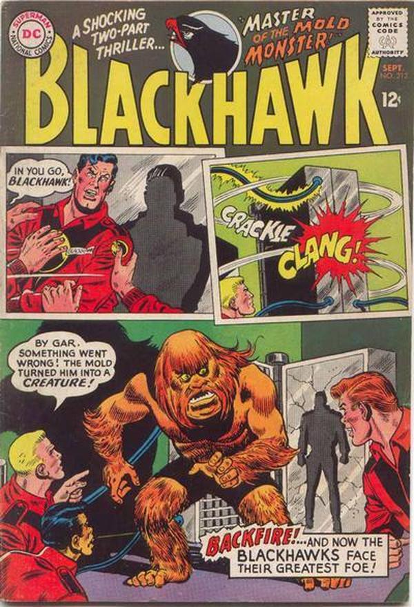 Blackhawk #212 cover