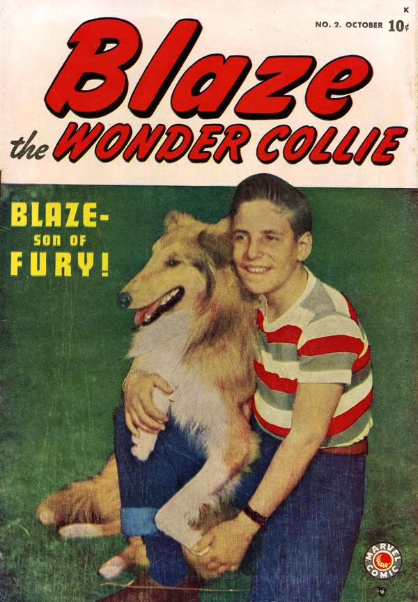 Blaze the Wonder Collie #2