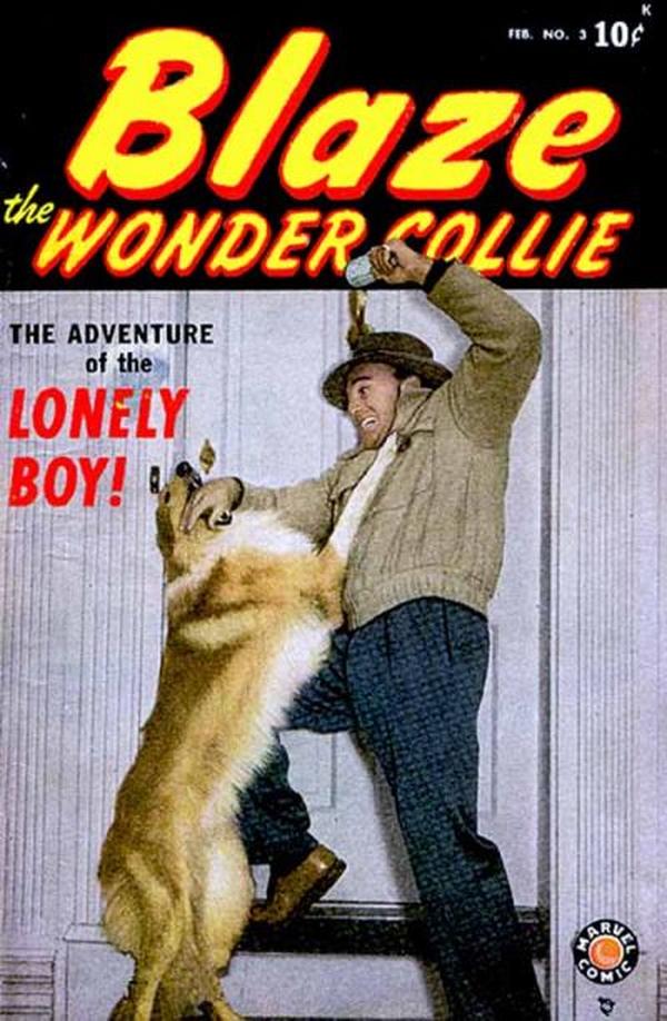 Blaze the Wonder Collie #3
