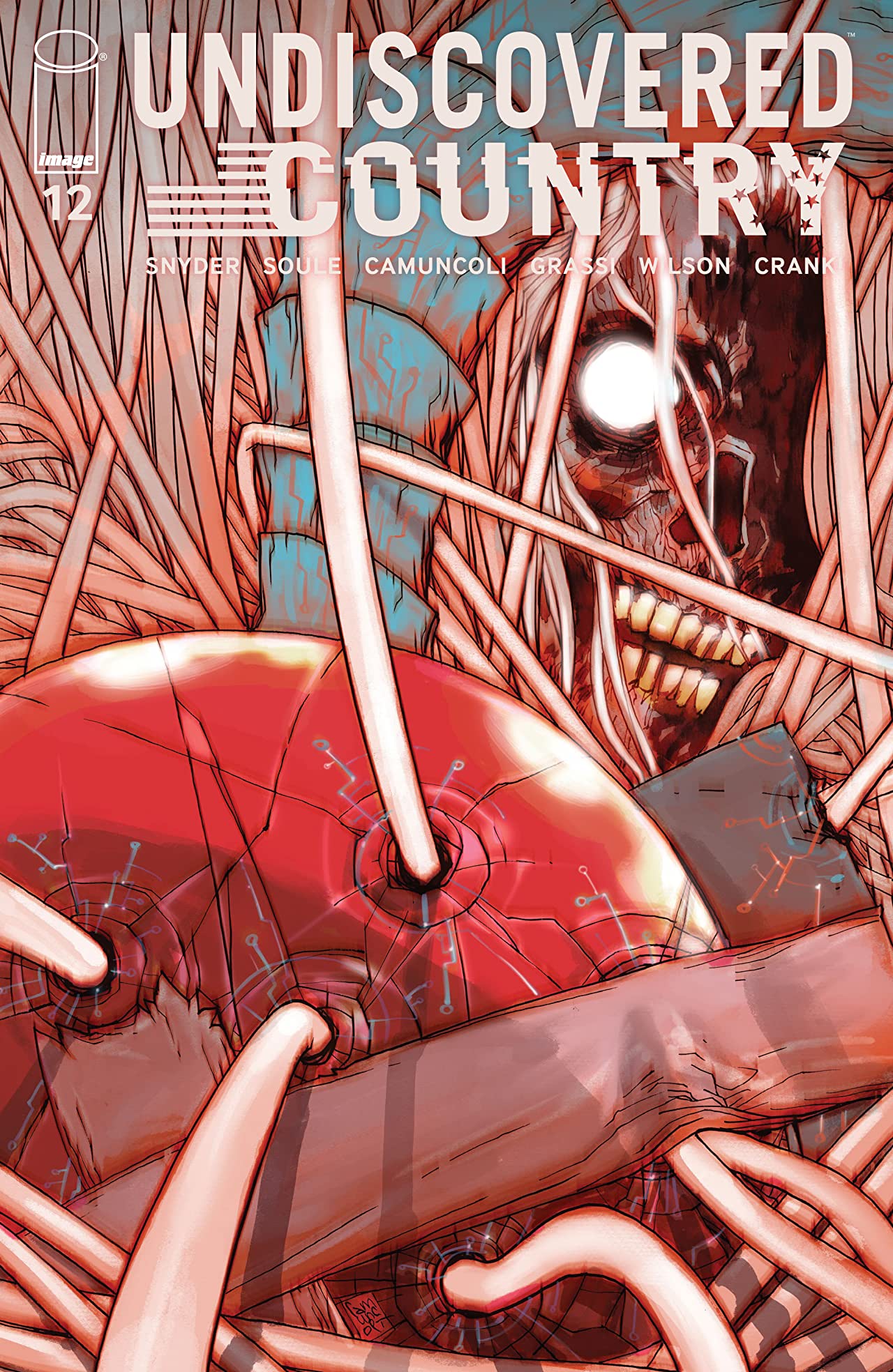 Undiscovered Country #12 cover