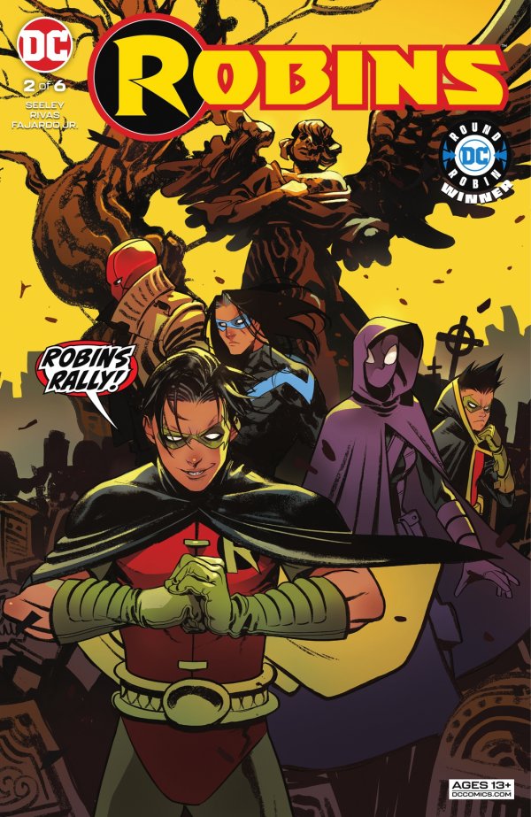 Robins #2 cover