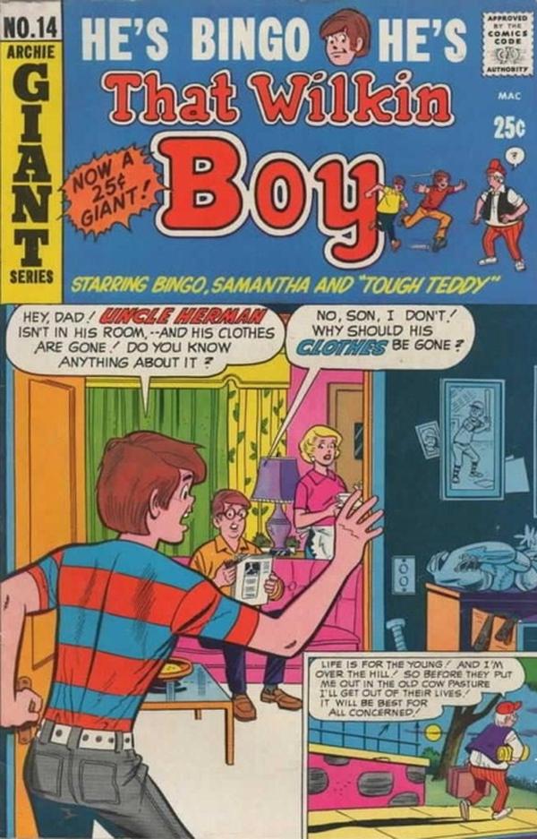 That Wilkin Boy #14 cover
