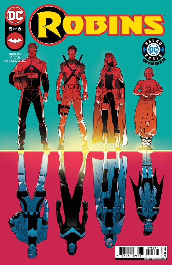 Robins #5 cover