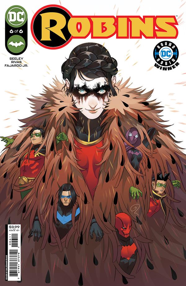 Robins #6 cover