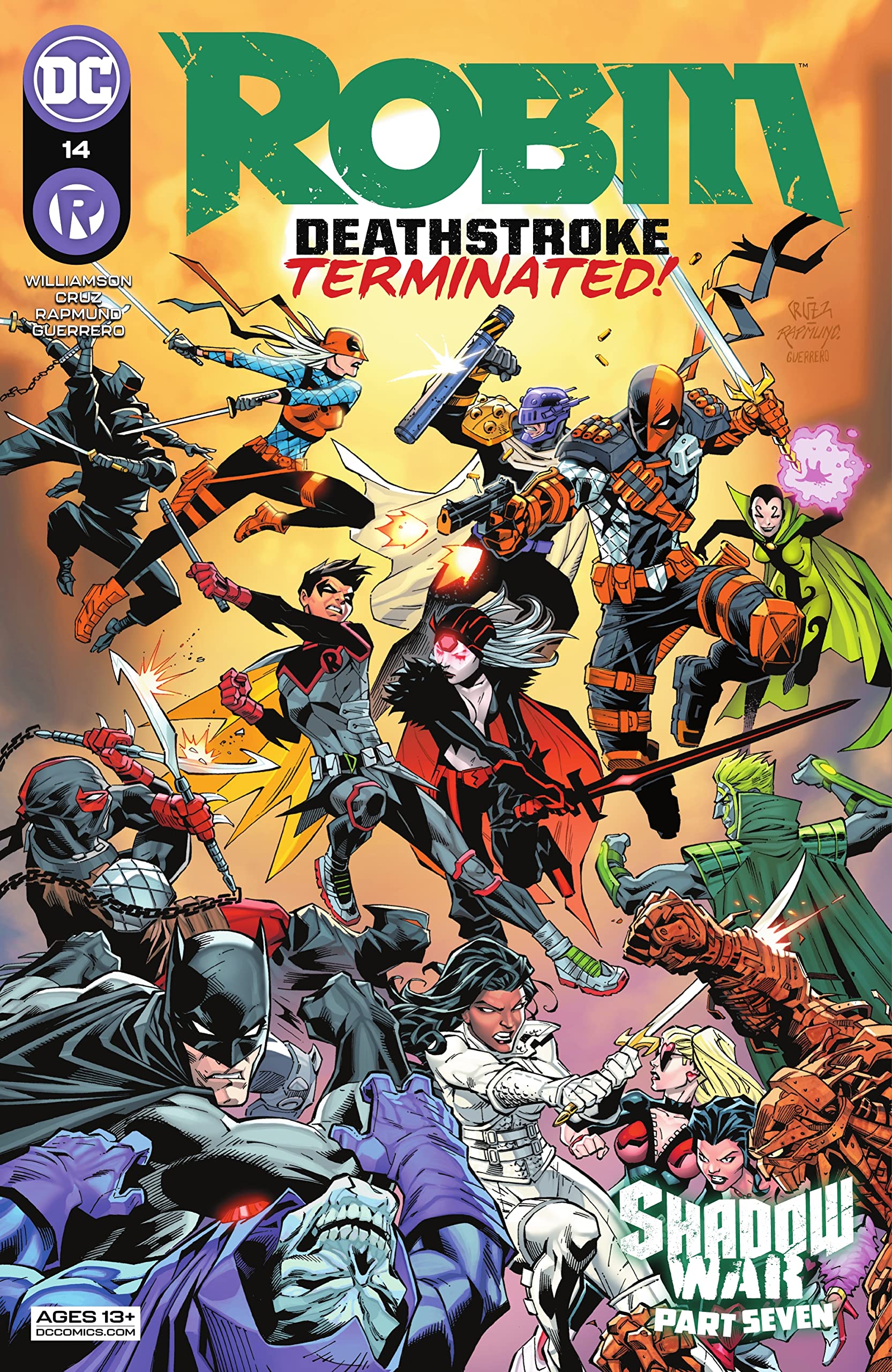 Robin #14 cover