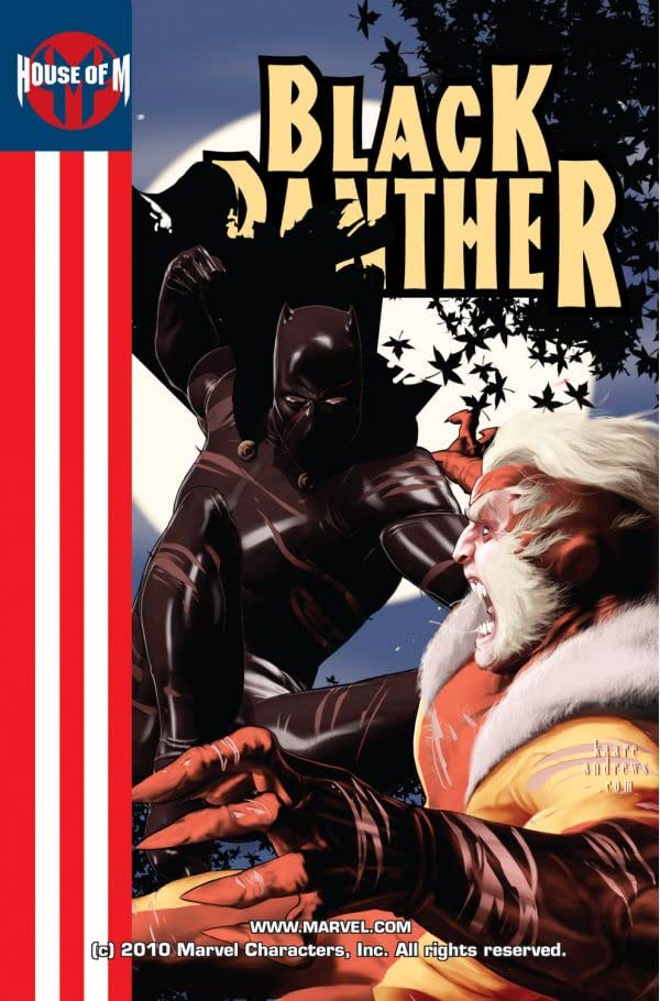 Black Panther #7 cover