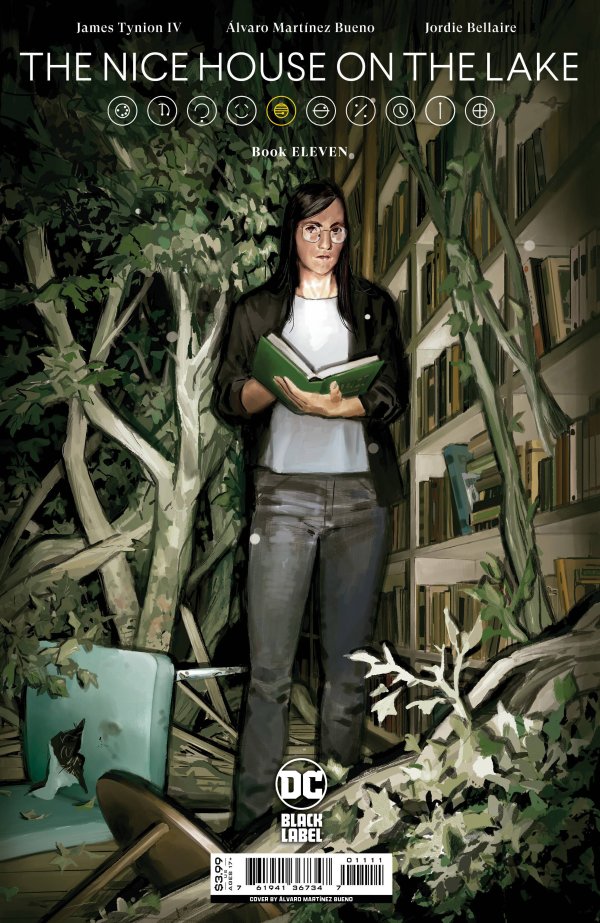 The Nice House on the Lake #11 cover