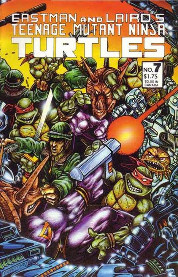 Teenage Mutant Ninja Turtles #7