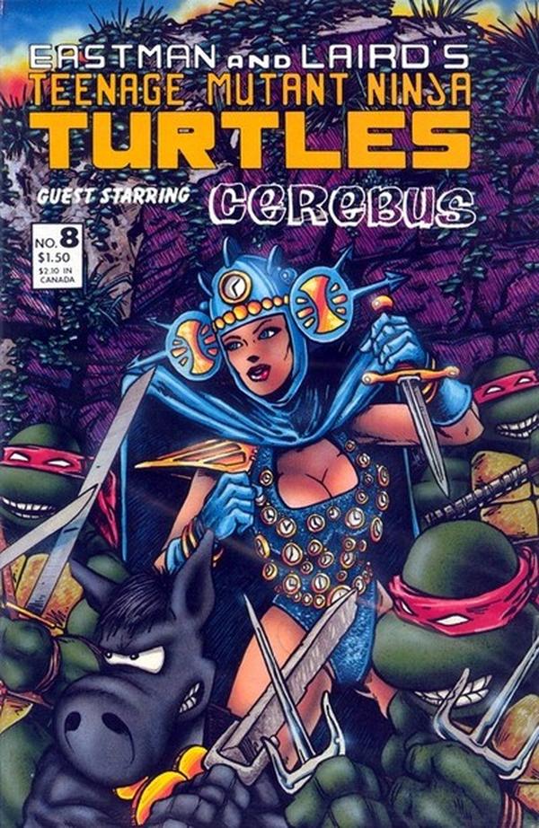 Teenage Mutant Ninja Turtles key issue