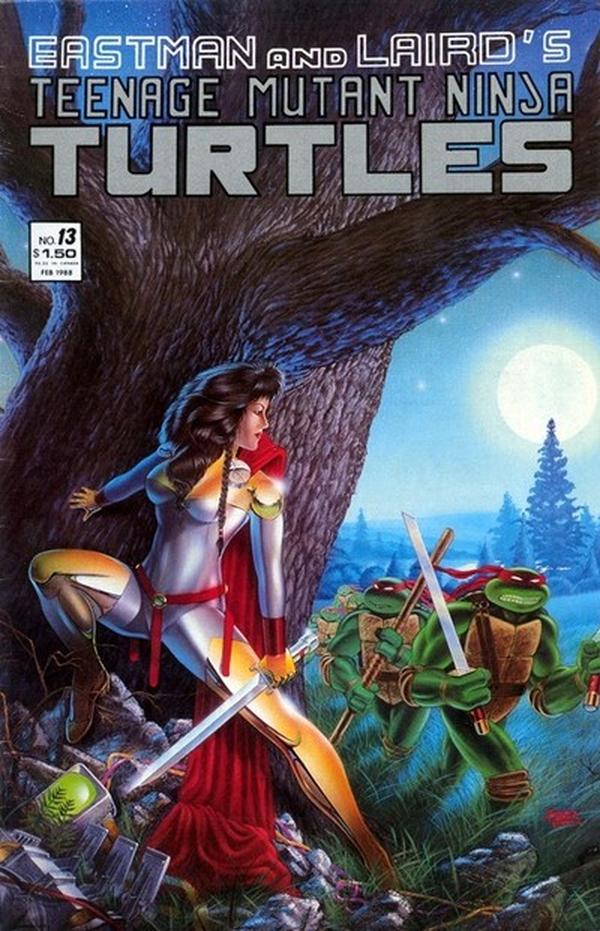 Teenage Mutant Ninja Turtles #13 cover