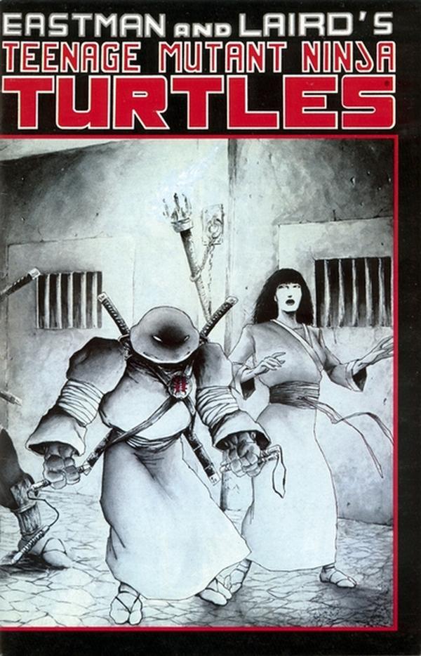 Teenage Mutant Ninja Turtles #17