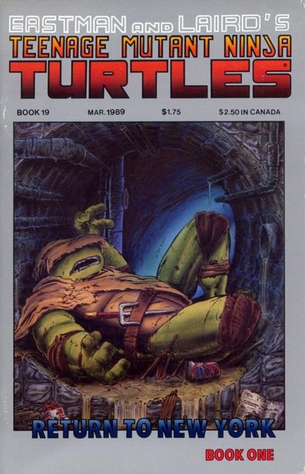 Teenage Mutant Ninja Turtles #19