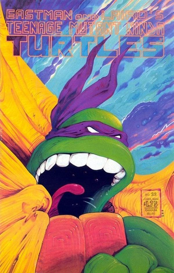 Teenage Mutant Ninja Turtles #22