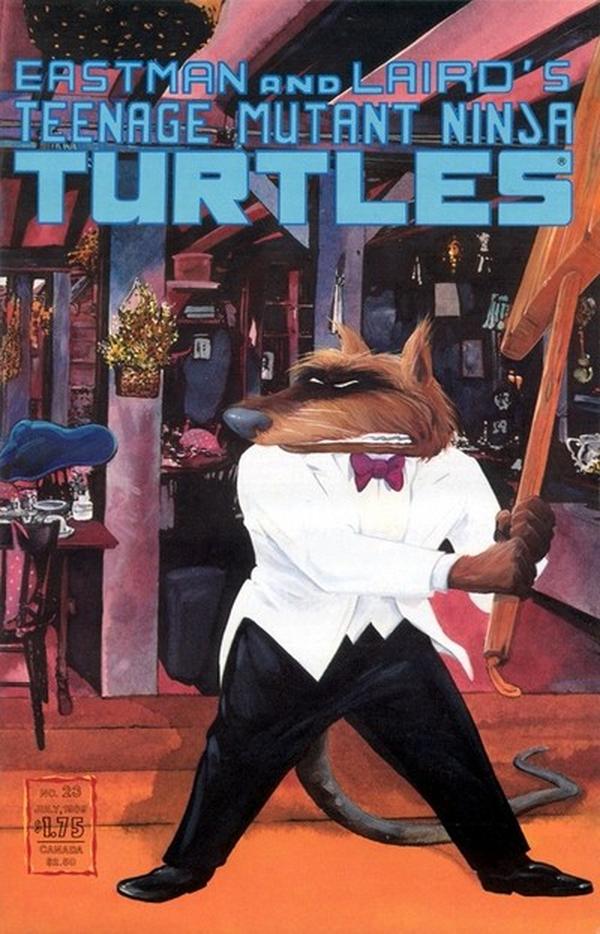 Teenage Mutant Ninja Turtles #23