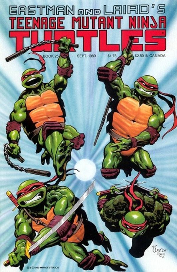 Teenage Mutant Ninja Turtles #25