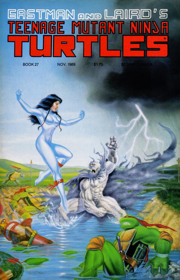 Teenage Mutant Ninja Turtles #27