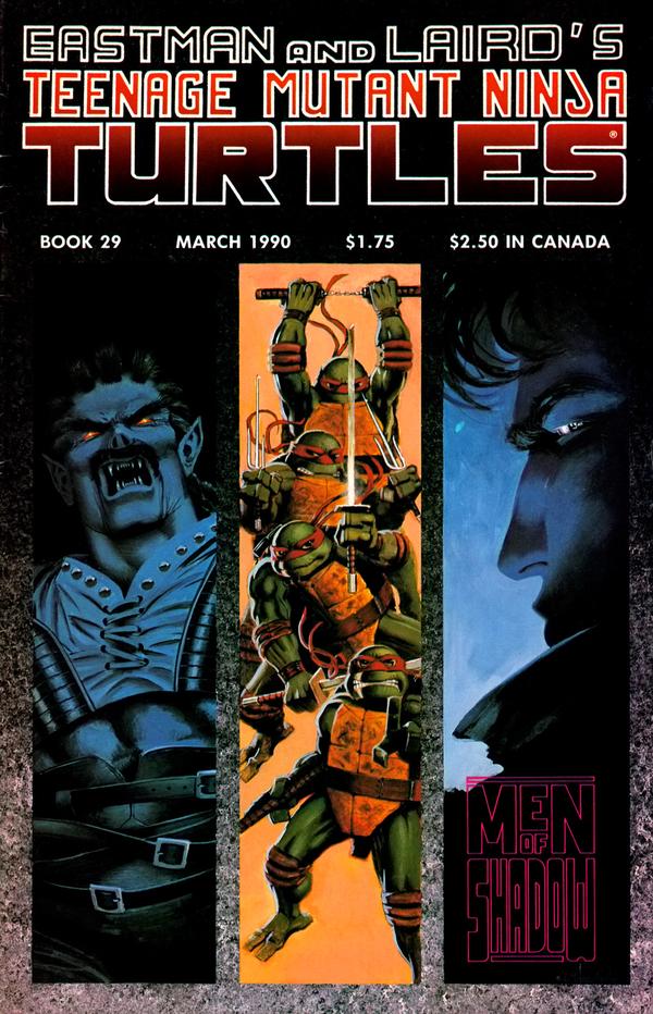 Teenage Mutant Ninja Turtles #29