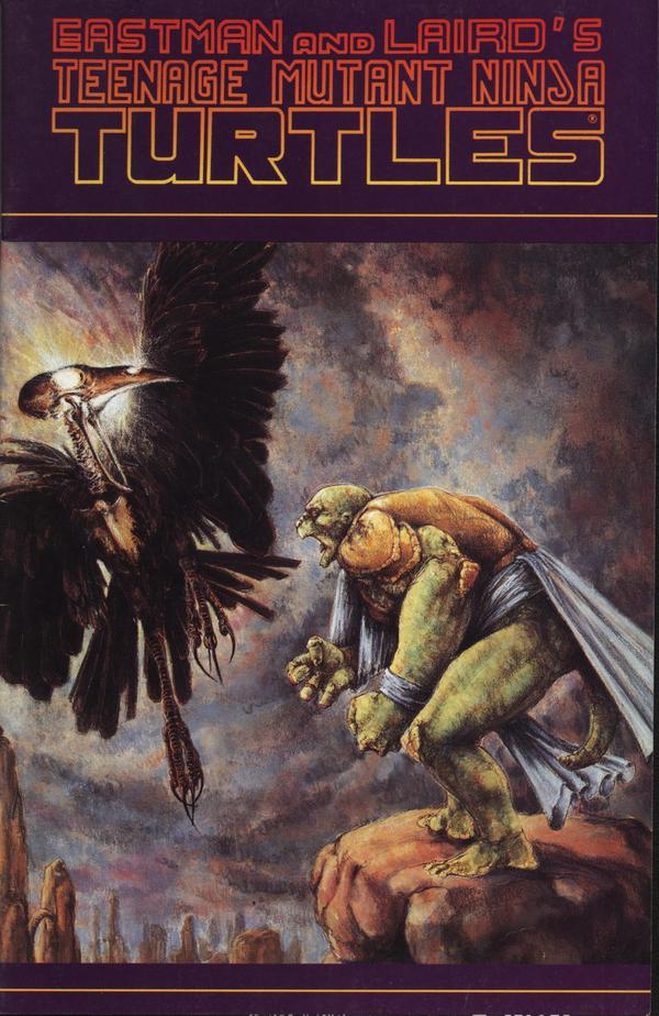 Teenage Mutant Ninja Turtles #36