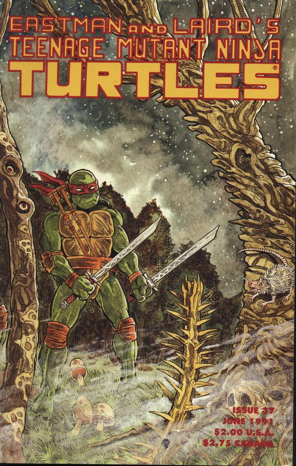Teenage Mutant Ninja Turtles #37
