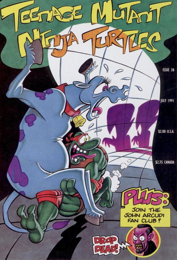Teenage Mutant Ninja Turtles #38