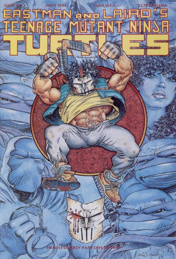 Teenage Mutant Ninja Turtles #48