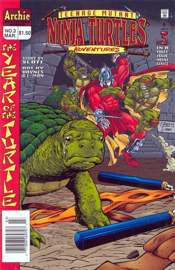 Teenage Mutant Ninja Turtles Adventures #3