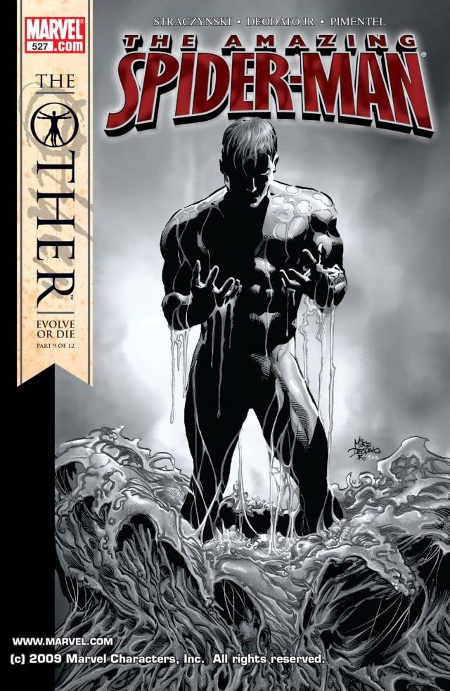 The Amazing Spider-Man #527 cover