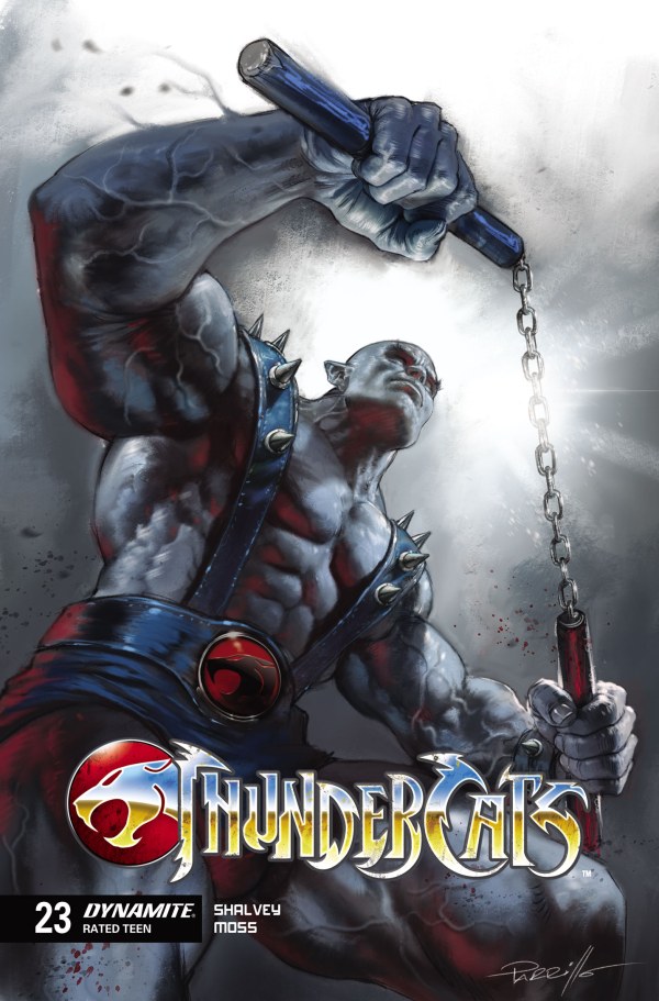 ThunderCats #23 cover