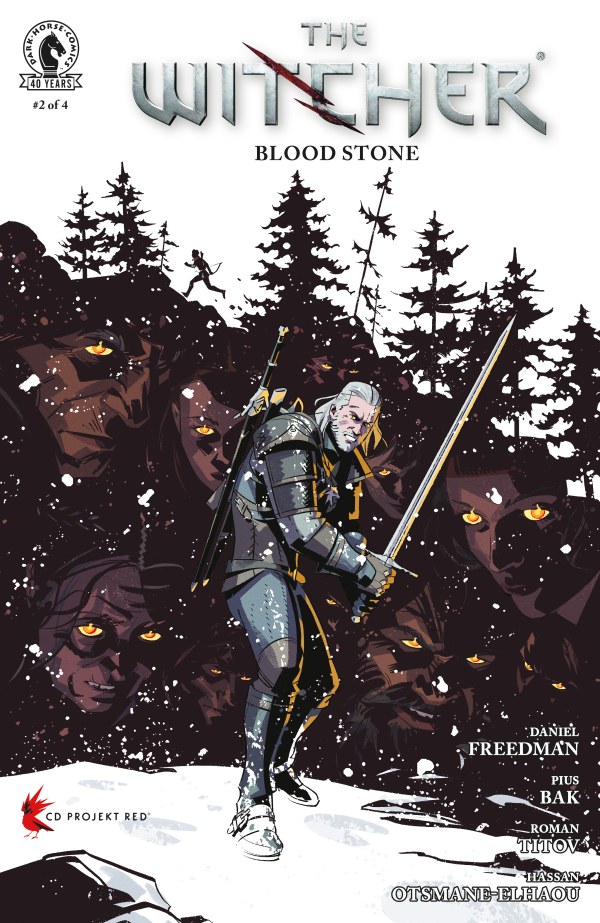 The Witcher: Blood Stone #2 cover